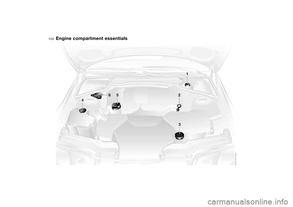 BMW 325CI COUPE 2004 E46 Owners Manual 124
Engine compartment essentials 