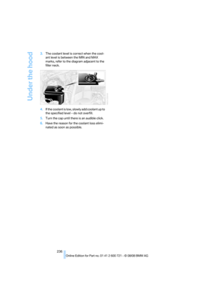 Page 238