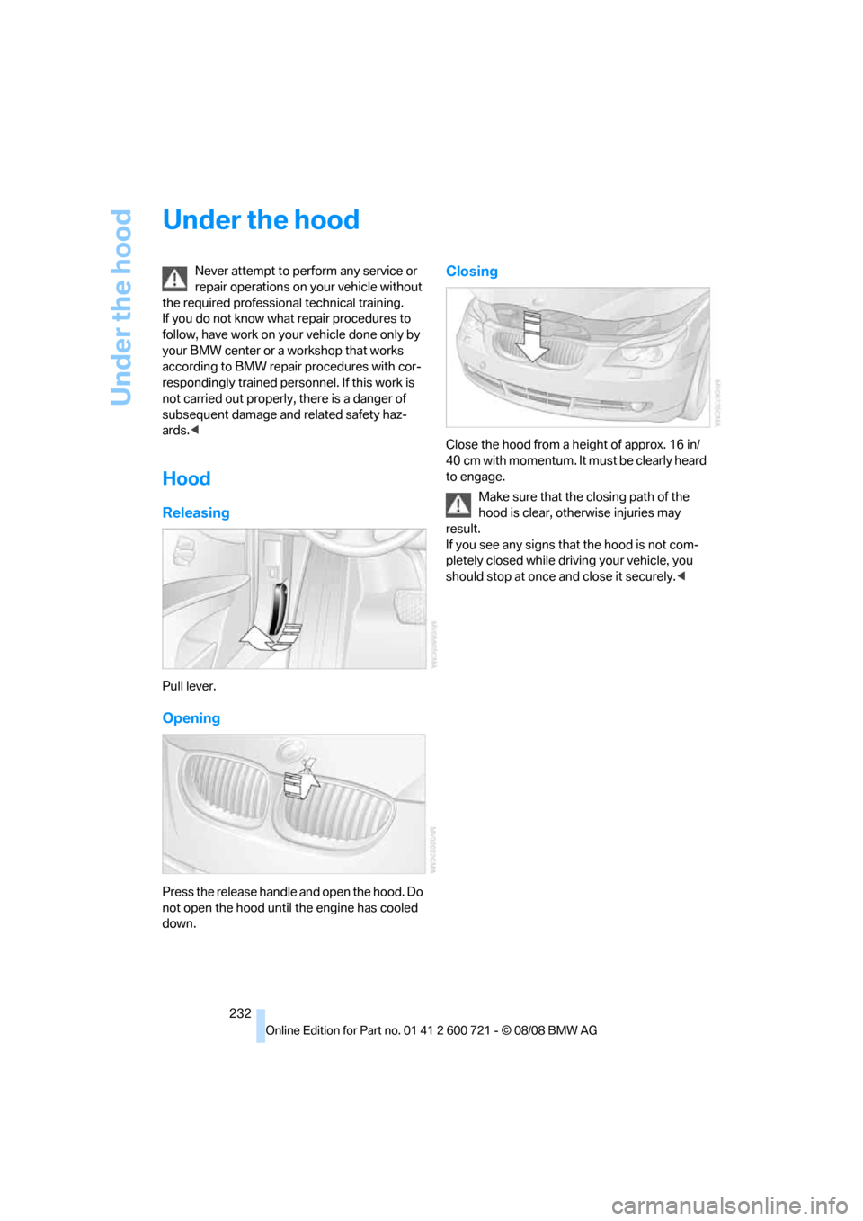 BMW 528I SEDAN 2009 E60 Owners Manual Under the hood
232
Under the hood
Never attempt to perform any service or 
repair operations on your vehicle without 
the required professional technical training. 
If you do not know what repair proc