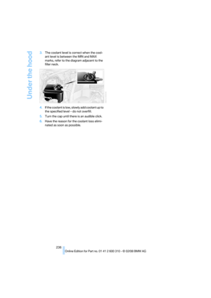 Page 238