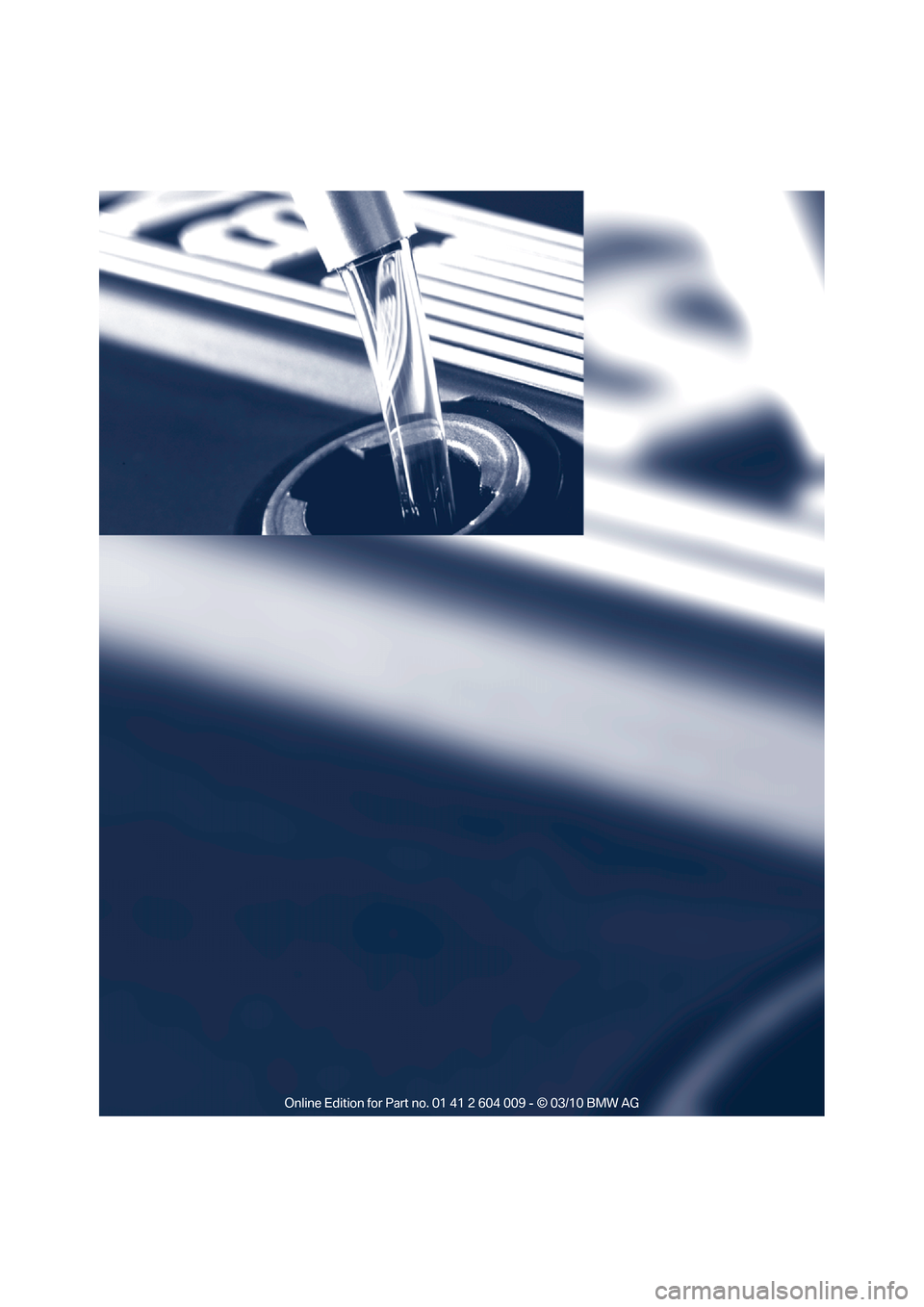 BMW X6 2012 E71 Owners Manual 
