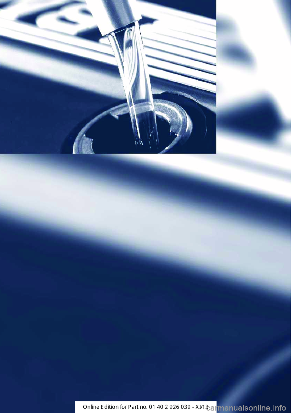BMW 6 SERIES COUPE 2013 F13 Owners Manual  
Online Edition for Part no. 0140 2 910 771 - VI/13 