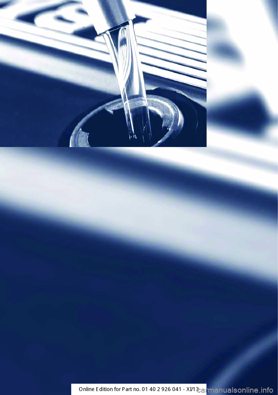 BMW M6 COUPE 2013 F13 Owners Manual  
Online Edition for Part no. 01 40 2 910 796 - VI/13 
