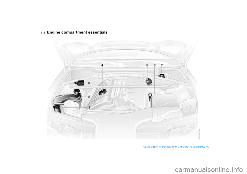 BMW M3 COUPE 2003 E46 Owners Manual 116
Engine compartment essentials
handbook.book  Page 116  Saturday, July 27, 2002  1:12 PM 