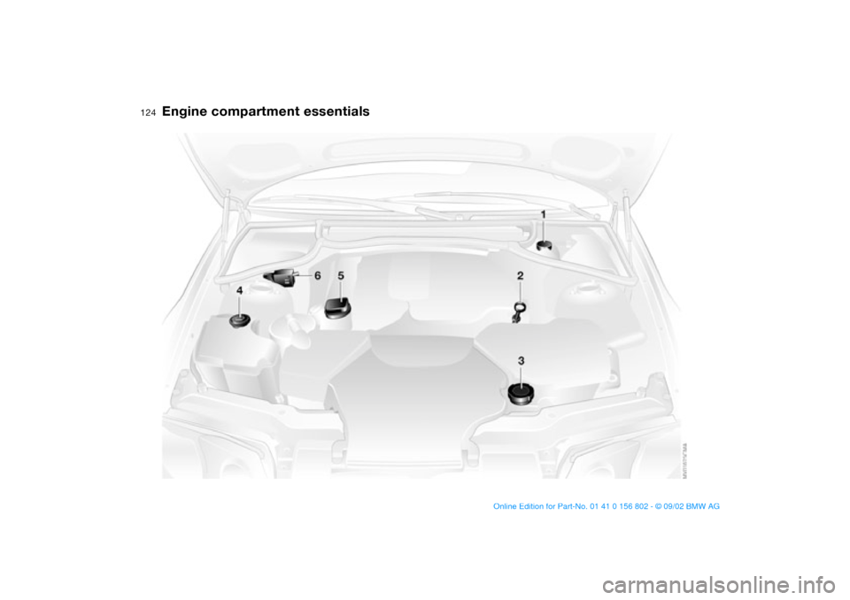 BMW 325xi TOURING 2003 E46 Owners Manual 124
Engine compartment essentials
handbook.book  Page 124  Saturday, July 27, 2002  1:36 PM 