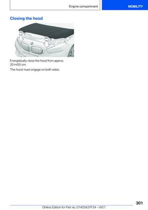Page 301