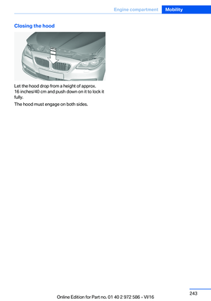 Page 243