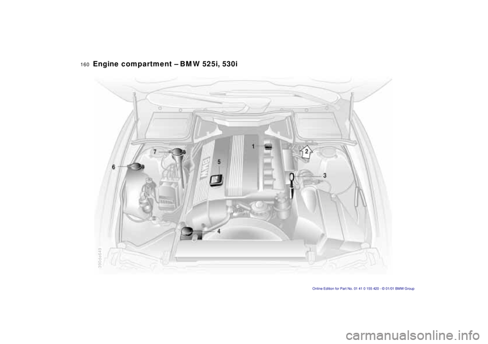 BMW 540I SEDAN 2001  Owners Manual 160n
390de649
Engine compartment – BMW 525i, 530i 