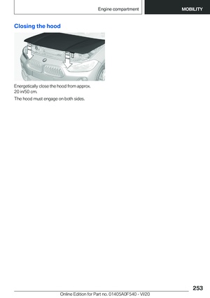 Page 253