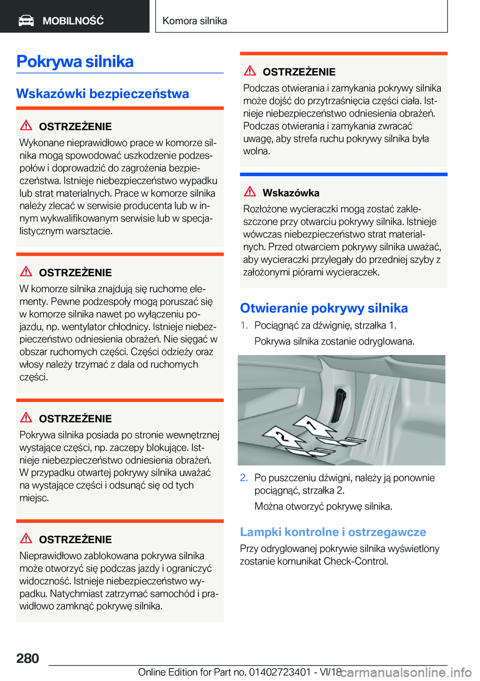 BMW 2 SERIES COUPE 2019  Instrukcja obsługi (in Polish) �P�o�k�r�y�w�a��s�i�l�n�i�k�a
�W�s�k�a�z�