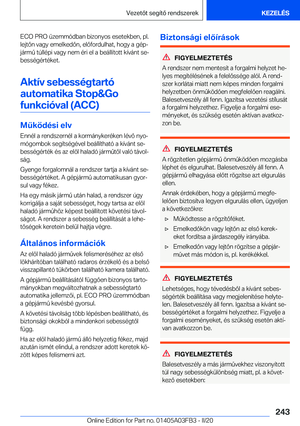 Page 243