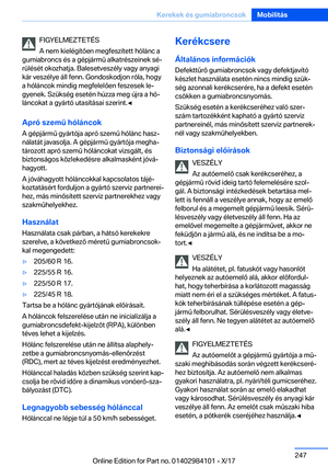 Page 247