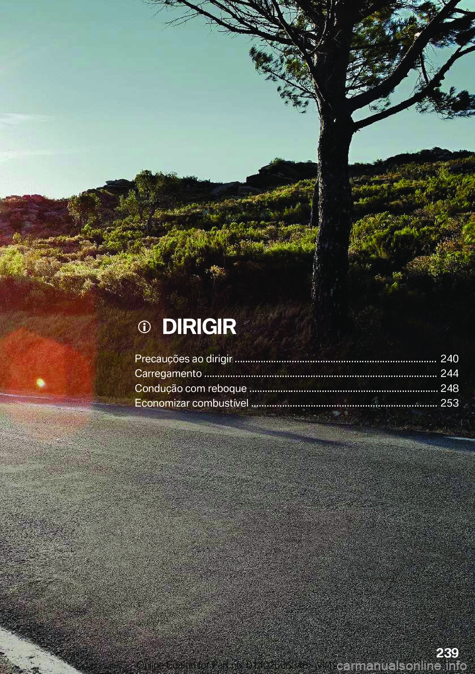 BMW 4 SERIES COUPE 2020  Manual do condutor (in Portuguese) ���D�I�R�I�G�I�R
�P�r�e�c�a�u�