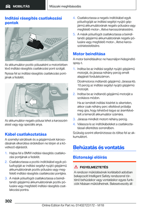Page 302