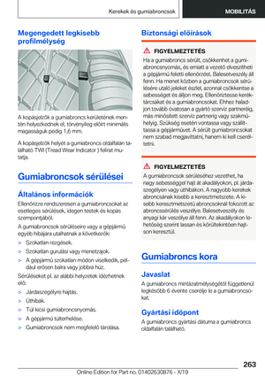 Page 263