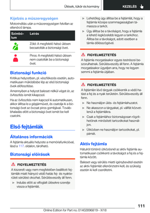 Page 111
