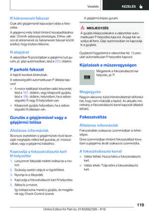 Page 119