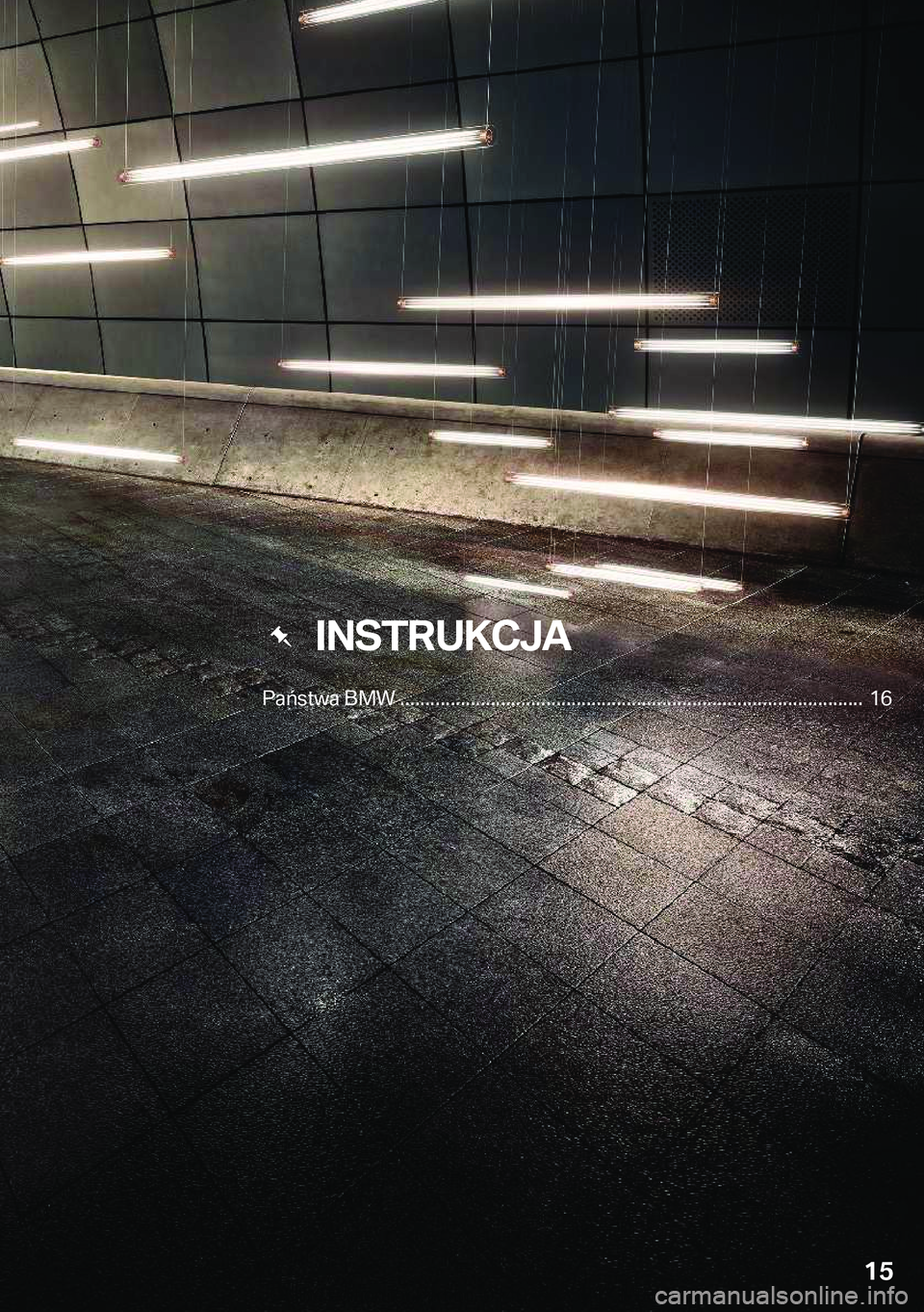 BMW M2 2018  Instrukcja obsługi (in Polish) ���I�N�S�T�R�U�K�C�J�A
�P�a�
