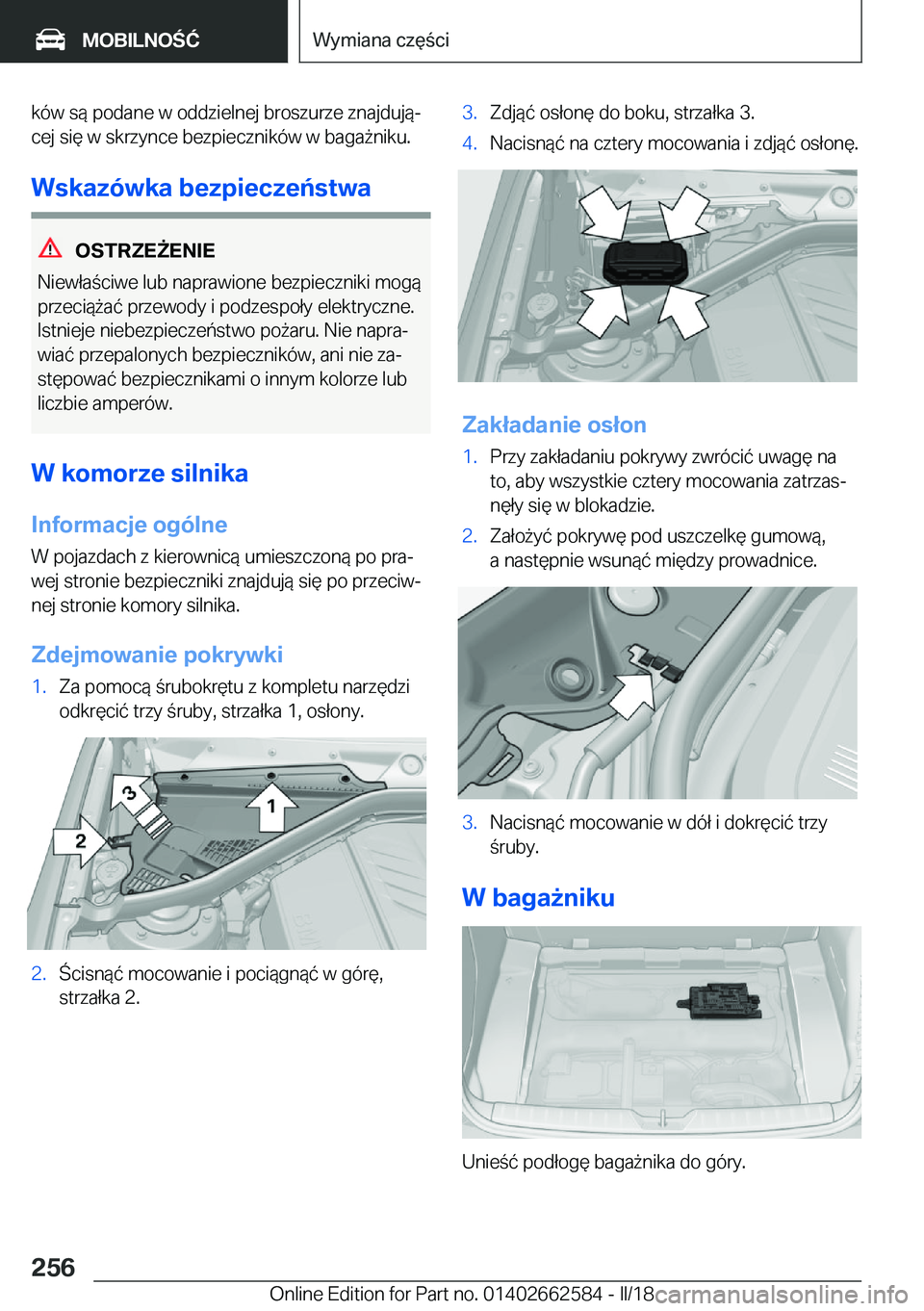 BMW M2 2018  Instrukcja obsługi (in Polish) �k�