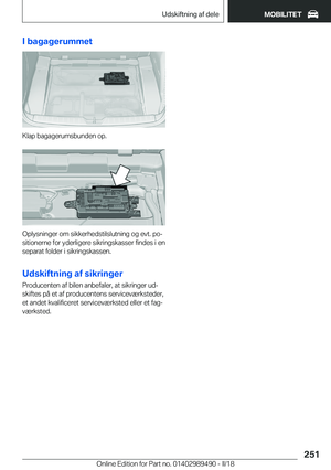 Page 251