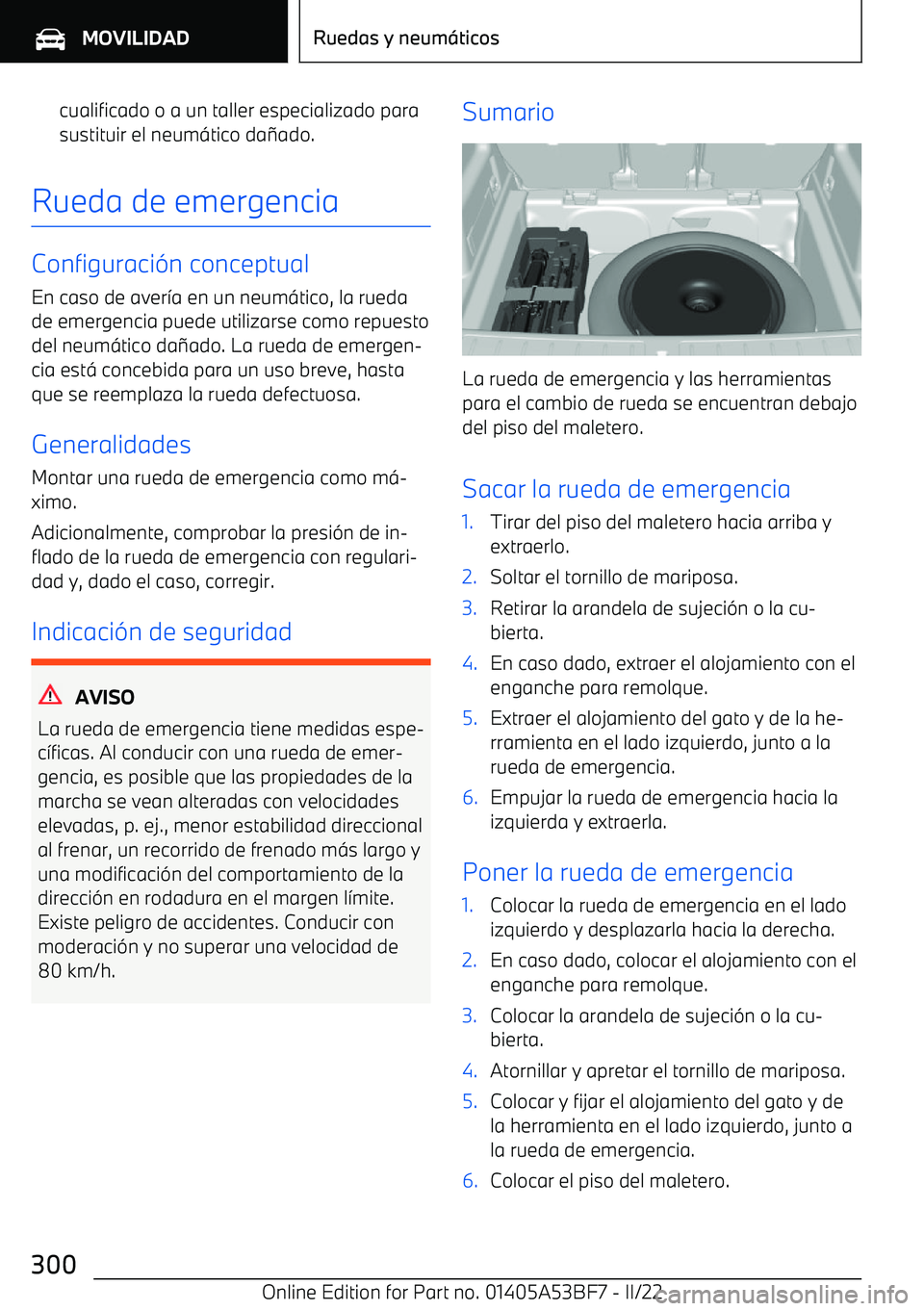 BMW X1 2022  Manuales de Empleo (in Spanish) cualificado o a un taller especializado para
sustituir el neum