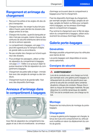 Page 251