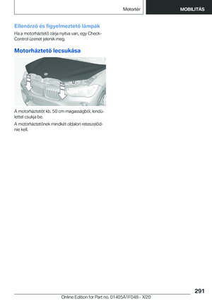 Page 291