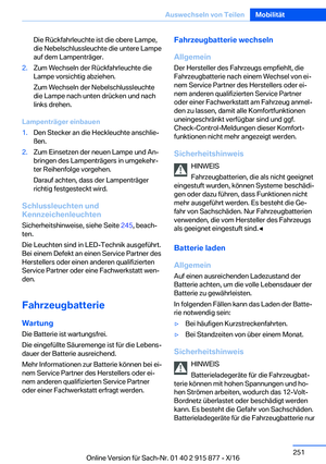 Page 251
