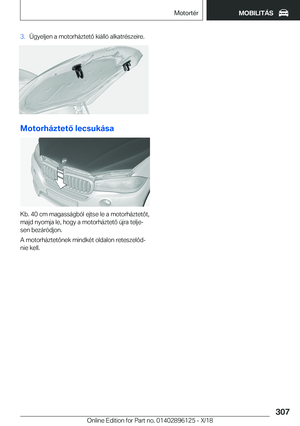 Page 307