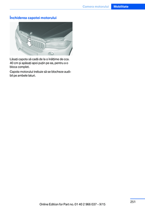 Page 251