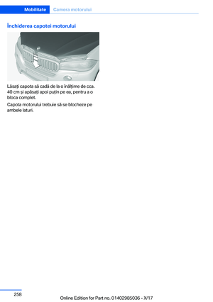 Page 258