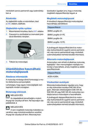 Page 251