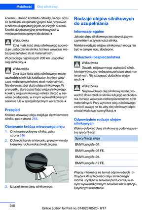 Page 250