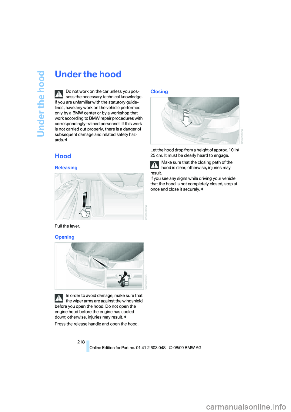 BMW 3 SERIES 2010 Owners Manual Under the hood
218
Under the hood
Do not work on the car unless you pos-
sess the necessary technical knowledge.
If you are unfamiliar with the statutory guide-
lines, have any work on the vehicle pe BMW 3 SERIES 2010 Owners Manual Under the hood
218
Under the hood
Do not work on the car unless you pos-
sess the necessary technical knowledge.
If you are unfamiliar with the statutory guide-
lines, have any work on the vehicle pe