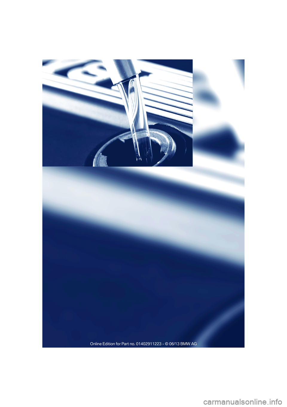 BMW 128I CONVERTIBLE 2013  Owners Manual 

00320051004F004C00510048000300280047004C0057004C005200510003  
