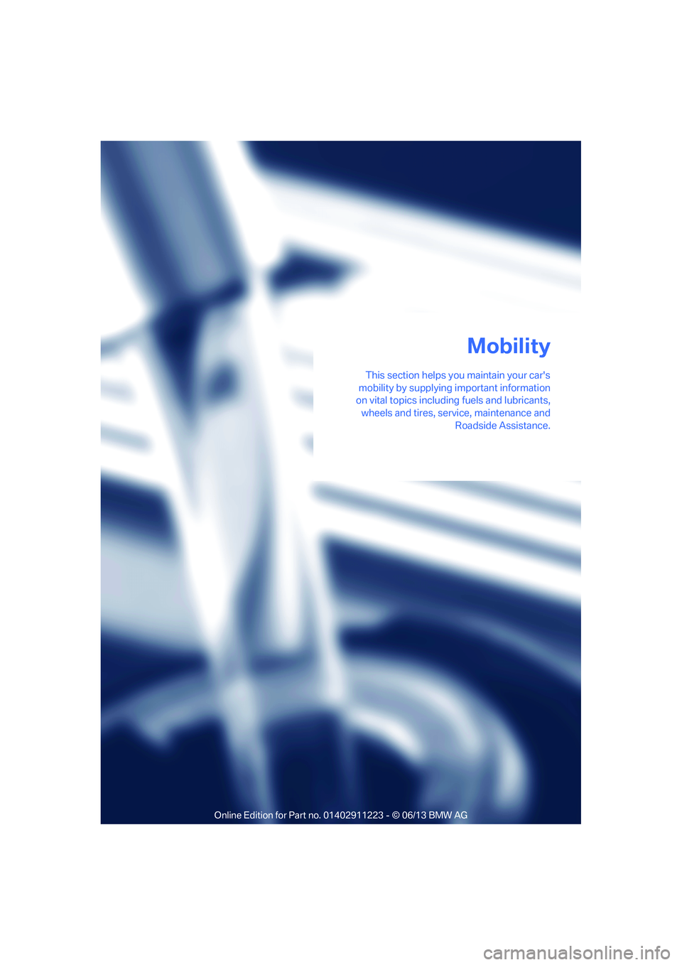 BMW 128I CONVERTIBLE 2013  Owners Manual This section helps you maintain your cars
mobility by supplying important information
on vital topics including  fuels and lubricants,
wheels and tires, serv ice, maintenance and
Roadside Assistance.