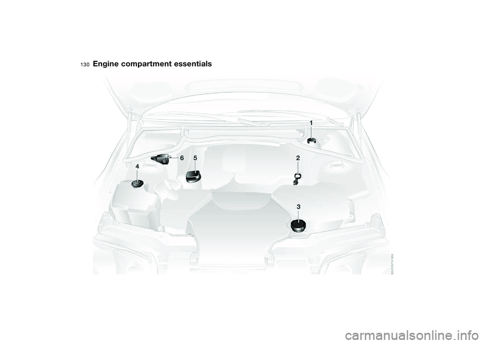 BMW 320i 2004  Owners Manual 130
Engine compartment essentials 