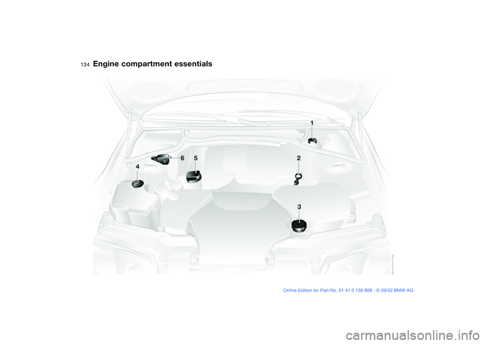 BMW 325Ci 2003  Owners Manual 134
Engine compartment essentials
handbook.book  Page 134  Wednesday, July 31, 2002  9:29 AM 