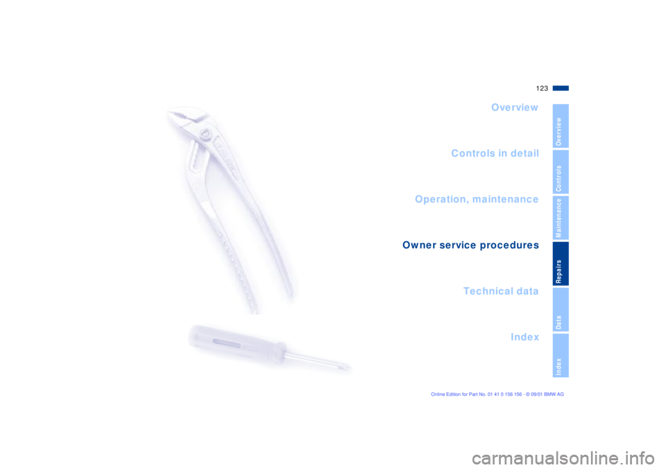 BMW 325I 2002  Owners Manual 123n
OverviewControlsMaintenanceRepairsDataIndex
Overview
Controls in detail
Operation, maintenance
Owner service procedures
Index Technical data
Repairs 