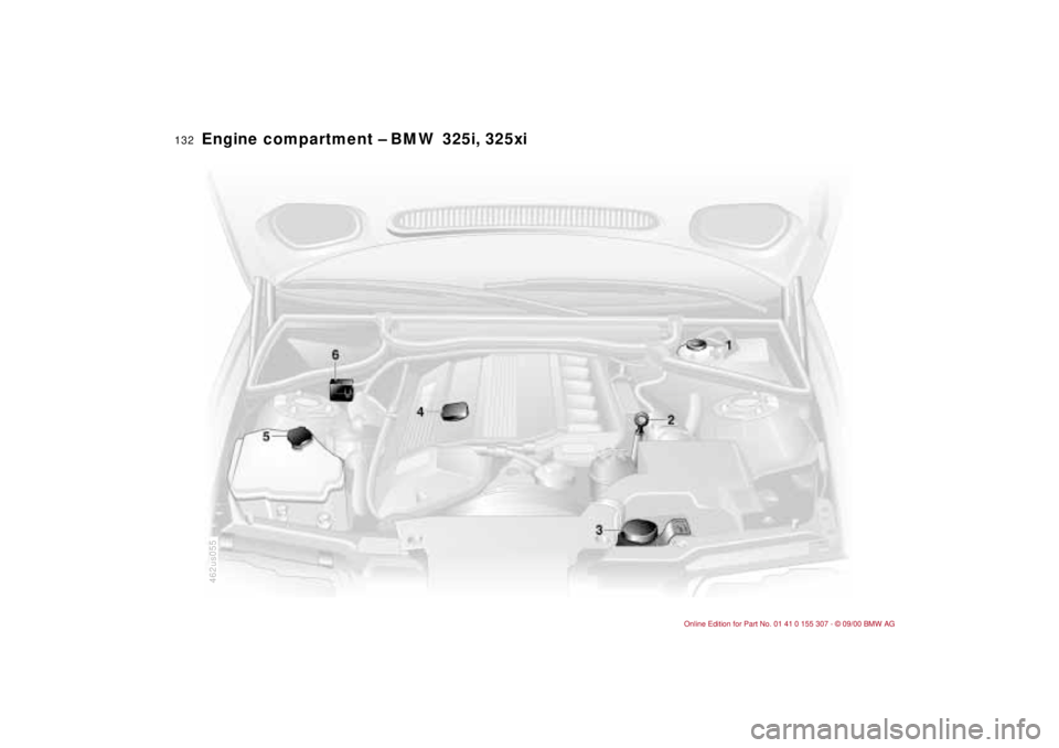 BMW 325I 2001  Owners Manual 132n
Engine compartment Ð BMW 325i, 325xi
462us055 