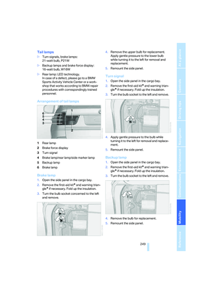 Page 251