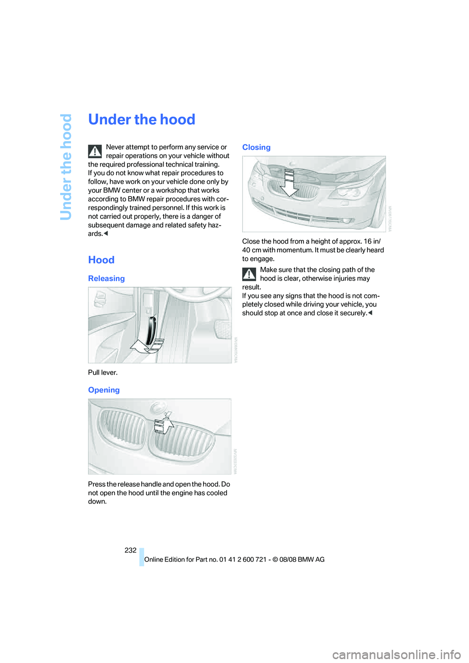 BMW 528I 2009  Owners Manual Under the hood
232
Under the hood
Never attempt to perform any service or 
repair operations on your vehicle without 
the required professional technical training. 
If you do not know what repair proc