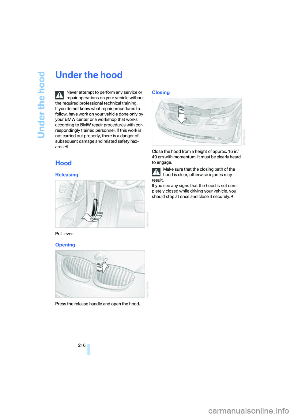 BMW 550I 2007  Owners Manual Under the hood
216
Under the hood
Never attempt to perform any service or 
repair operations on your vehicle without 
the required professional technical training. 
If you do not know what repair proc