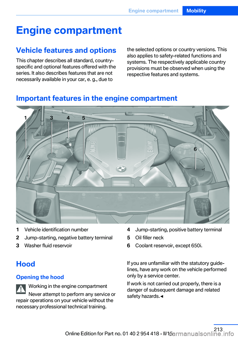 BMW 640I CONVERTIBLE 2015  Owners Manual Engine compartmentVehicle features and optionsThis chapter describes all standard, country-
specific and optional features offered with the
series. It also describes features that are not
necessarily 