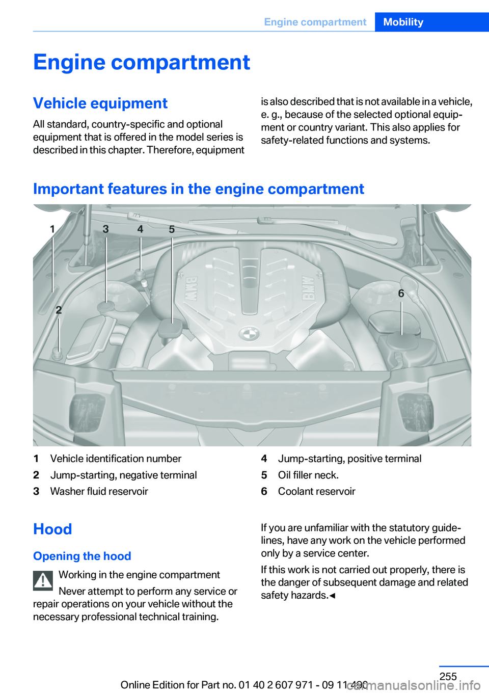 BMW 650I XDRIVE COUPE 2012  Owners Manual Engine compartmentVehicle equipment
All standard, country-specific and optional
equipment that is offered in the model series is
described in this chapter. Therefore, equipmentis also described that i