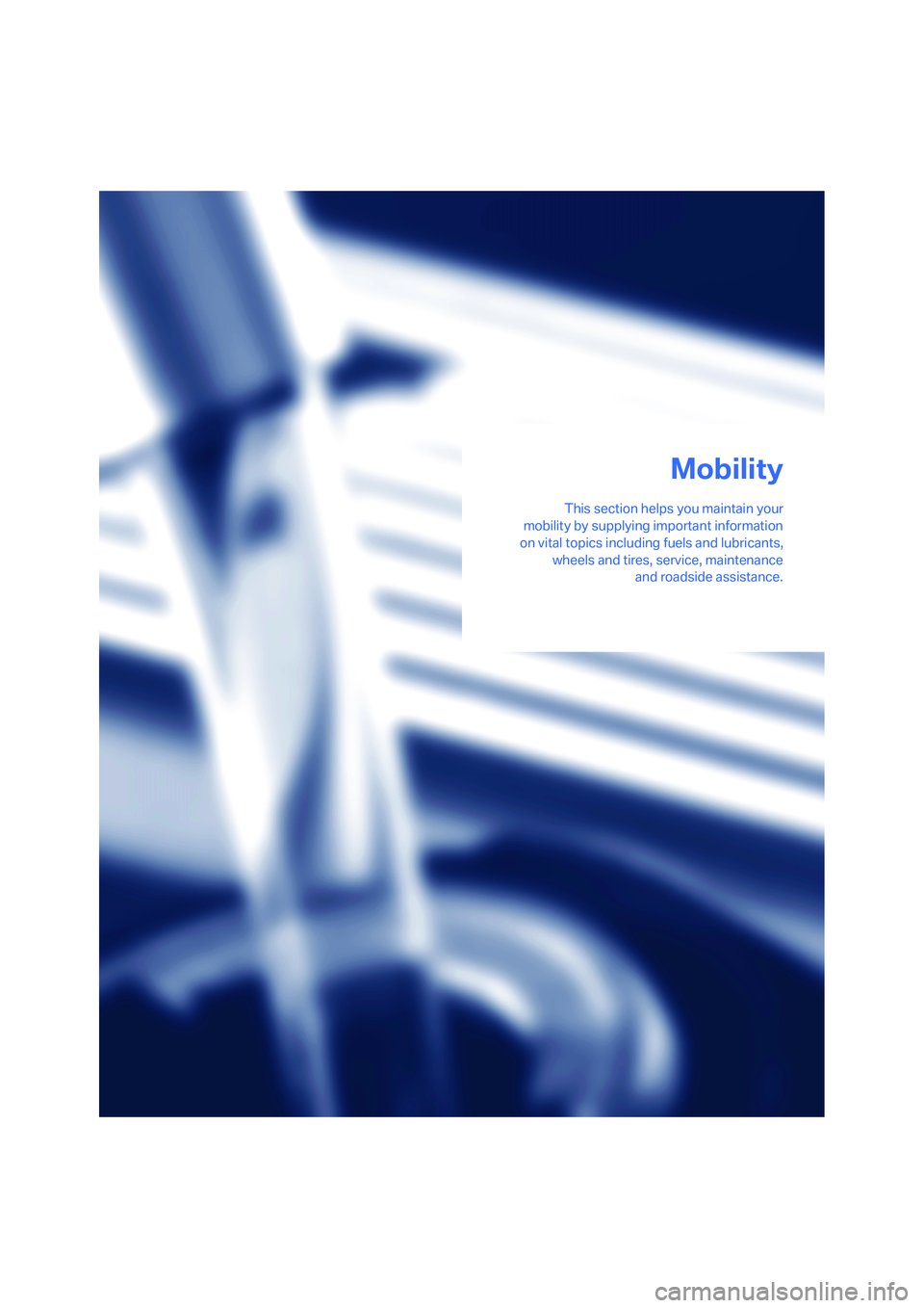 BMW M6 CONVERTIBLE 2008  Owners Manual Mobility
This section helps you maintain your
mobility by supplying important information
on vital topics including fuels and lubricants,
wheels and tires, service, maintenance
and roadside assistance