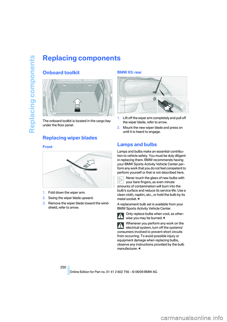 BMW X6 2010  Owners Manual Replacing components
250
Replacing components
Onboard toolkit
The onboard toolkit is located in the cargo bay 
under the floor panel.
Replacing wiper blades
Front
1.Fold down the wiper arm.
2.Swing th