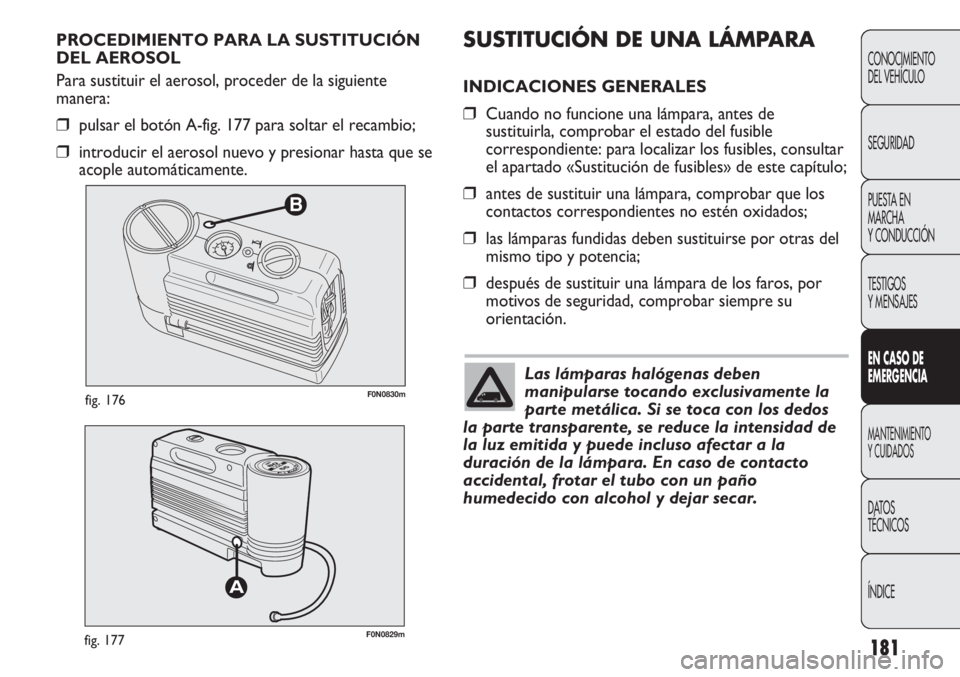 FIAT DUCATO 2012 Manual de Empleo y Cuidado (in Spanish) 181
B
F0N0830mfig. 176
F0N0829mfig. 177
SUSTITUCIÓN DE UNA LÁMPARA
INDICACIONES GENERALES
❒Cuando no funcione una lámpara, antes de
sustituirla, comprobar el estado del fusible
correspondiente: p FIAT DUCATO 2012 Manual de Empleo y Cuidado (in Spanish) 181
B
F0N0830mfig. 176
F0N0829mfig. 177
SUSTITUCIÓN DE UNA LÁMPARA
INDICACIONES GENERALES
❒Cuando no funcione una lámpara, antes de
sustituirla, comprobar el estado del fusible
correspondiente: p