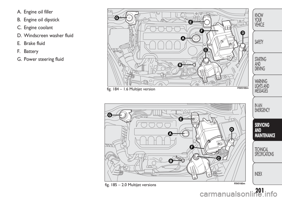FIAT DOBLO COMBI 2013  Owner handbook (in English) 201
KNOW
YOUR
VEHICLE
SAFETY
STARTING 
AND
DRIVING
WARNING 
LIGHTS AND
MESSAGES
IN AN 
EMERGENCY
SERVIC
 ING 
AND
MAINTENANCE
TECHNICAL
SPECIFICA TIONS
INDEX
fig. 184 – 1.6 Multijet versionF0V0190m
