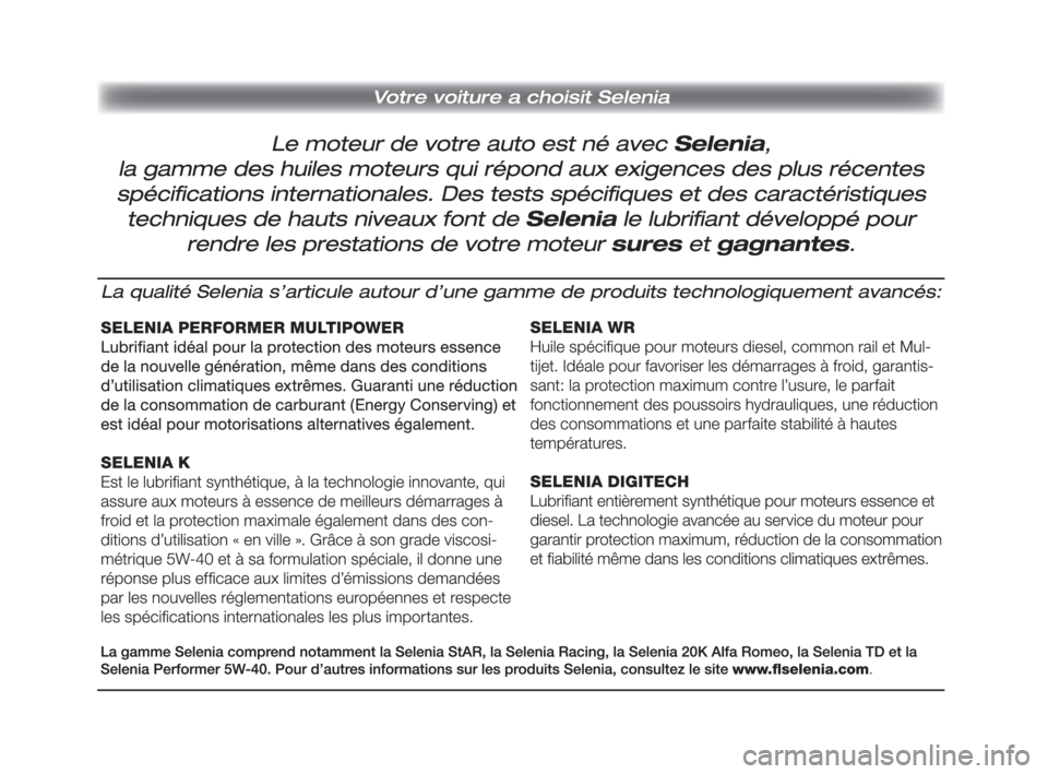 FIAT FIORINO 2009  Notice dentretien (in French) 198-208 CombiCargo FR 1ed  21-10-2008  16:33  Pagina 207 